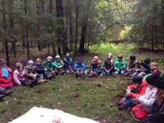 Der Wald - die Klasse 3b im grünen Klassenzimmer
